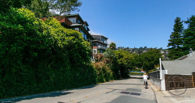 A street in Sausalito in San Francisco | BIG tiny World Travel