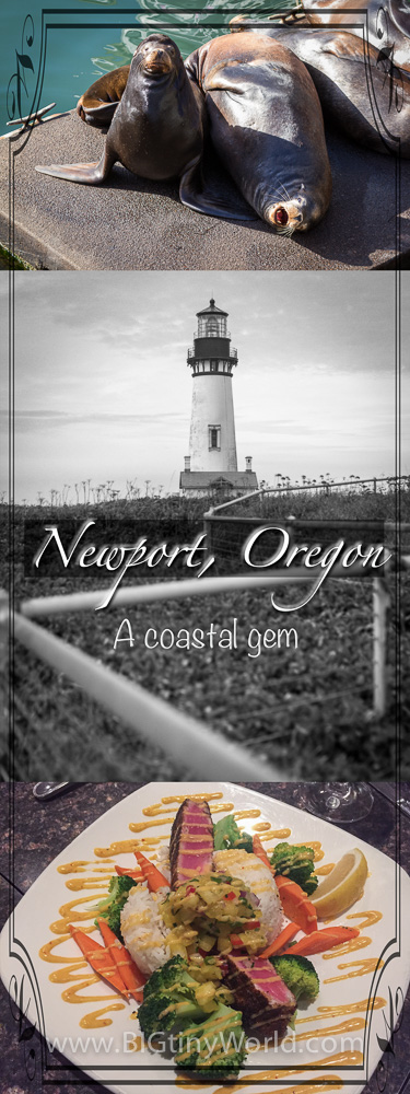 Newport Oregon: A Coastal Gem | BIG tiny World Travel | The Pacific Northwest has so many beaches to explore.  Newport is one of the many the Oregon Coast has to offer | #oregoncoast #travel #travelcouple #travelblog #beaches #pacificnorthwest