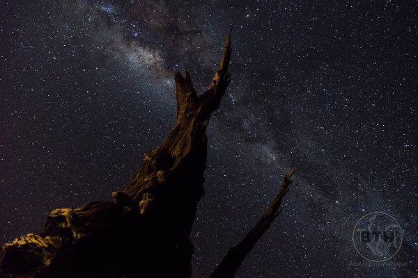 Milky Way over the Namib Desert | BIG tiny World Travel