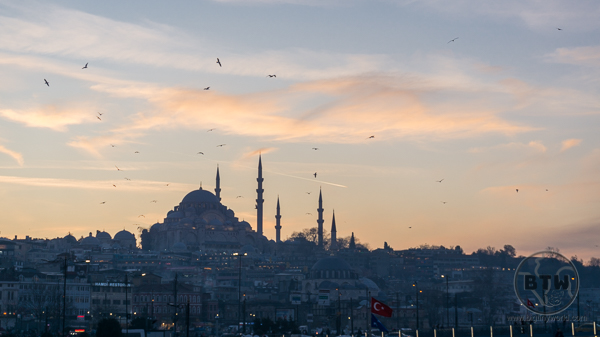 A mosque in Istanbul at sunset, surrounded by seagulls