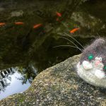 Pena Palace Gardens Pond with Travel Cat