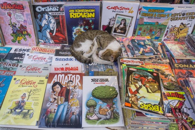 A stray cat curled up on a display of comic books in Istanbul, Turkey