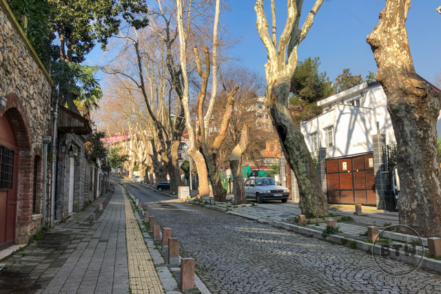 A street in Emirgan, a neighborhood in Istanbul, Turkey